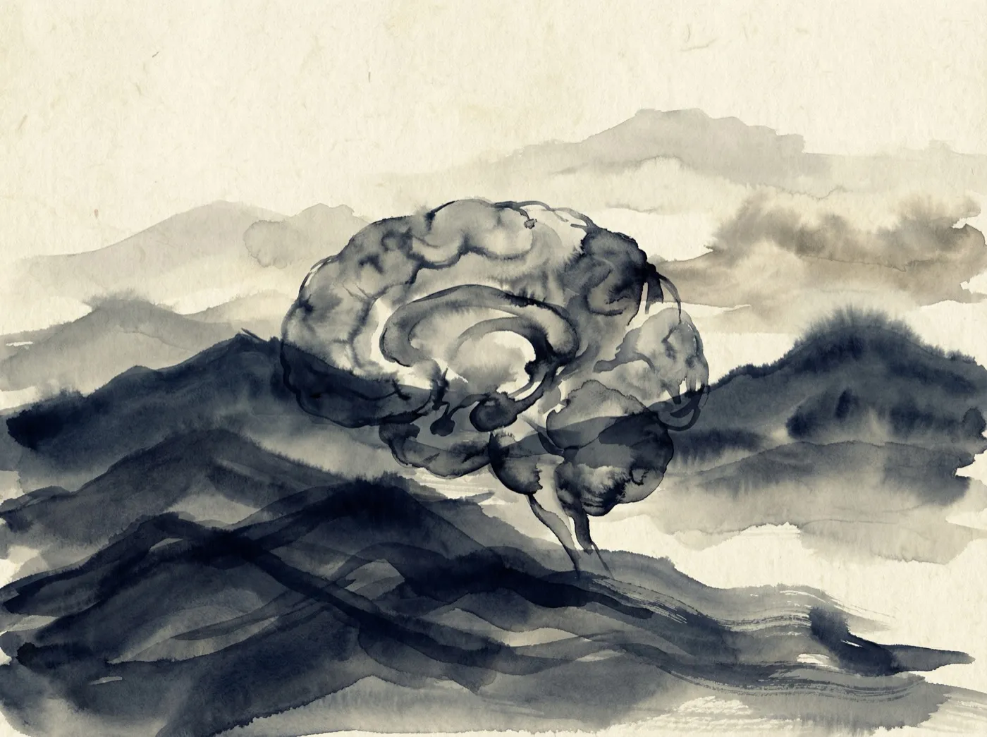 Amygdala - sumi-e illustration